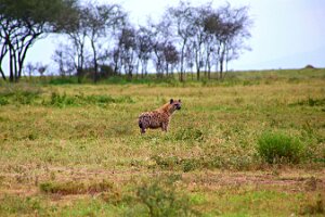 IMG_20250119-01-IMG_0674