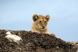 IMG_20250119-01-IMG_0698