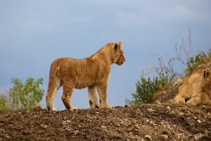 IMG_20250119-01-IMG_0719