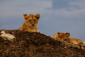 IMG_20250119-01-IMG_0742