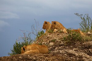 IMG_20250119-01-IMG_0762